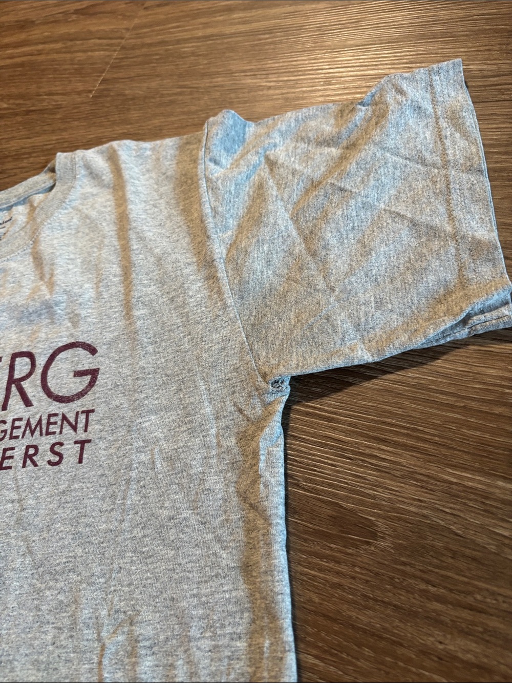 Champion Gray Isenberg School of Management Graphic Tee - Picture 3 of 5